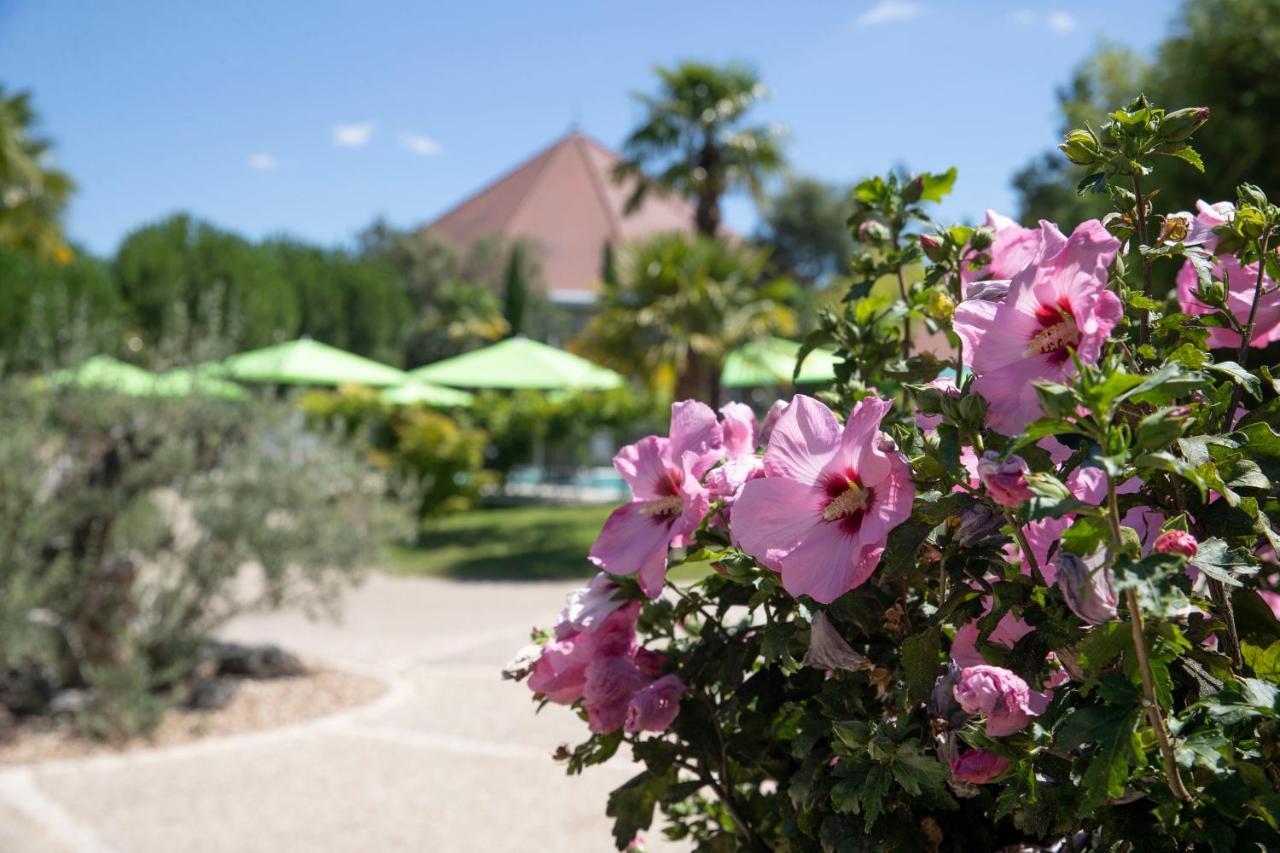 Les Jardins De Beauval Hotel Saint-Aignan  Exterior photo